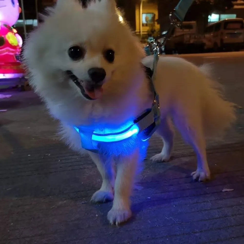 Breathable Light Up LED Dog Harness Rechargeable Flashing Luminous Pet Chest Strap Adjustable Soft Dog Glowing Vest Pet Safety
