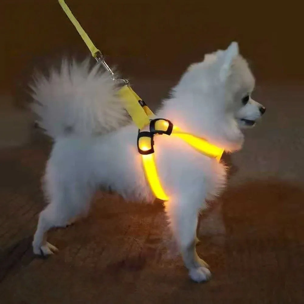 Breathable Light Up LED Dog Harness Rechargeable Flashing Luminous Pet Chest Strap Adjustable Soft Dog Glowing Vest Pet Safety