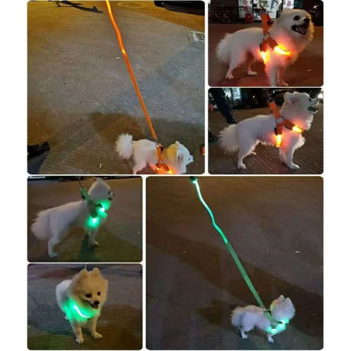 Breathable Light Up LED Dog Harness Rechargeable Flashing Luminous Pet Chest Strap Adjustable Soft Dog Glowing Vest Pet Safety